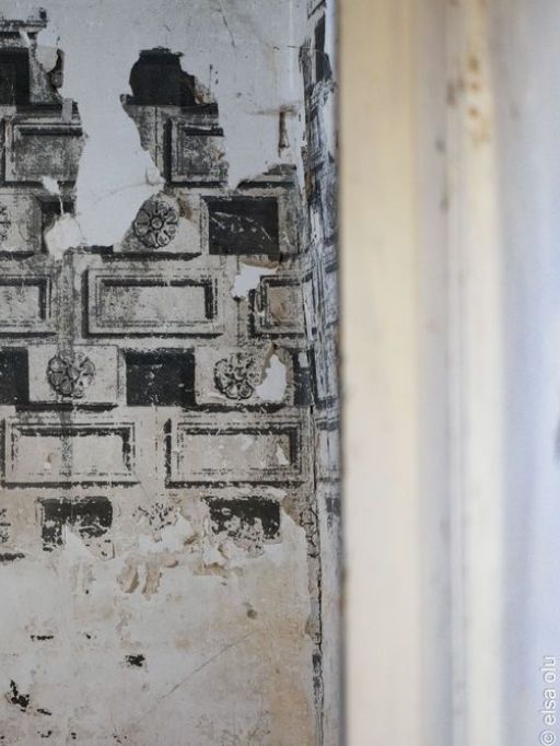 large_Photo_3_d249585546