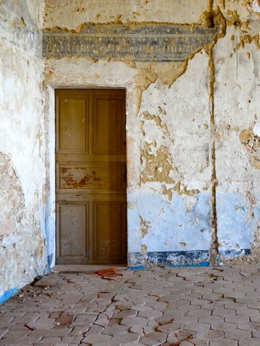 large_Photo_5_77cbc4296d